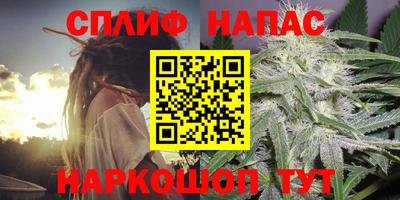 тгк Пугачёв