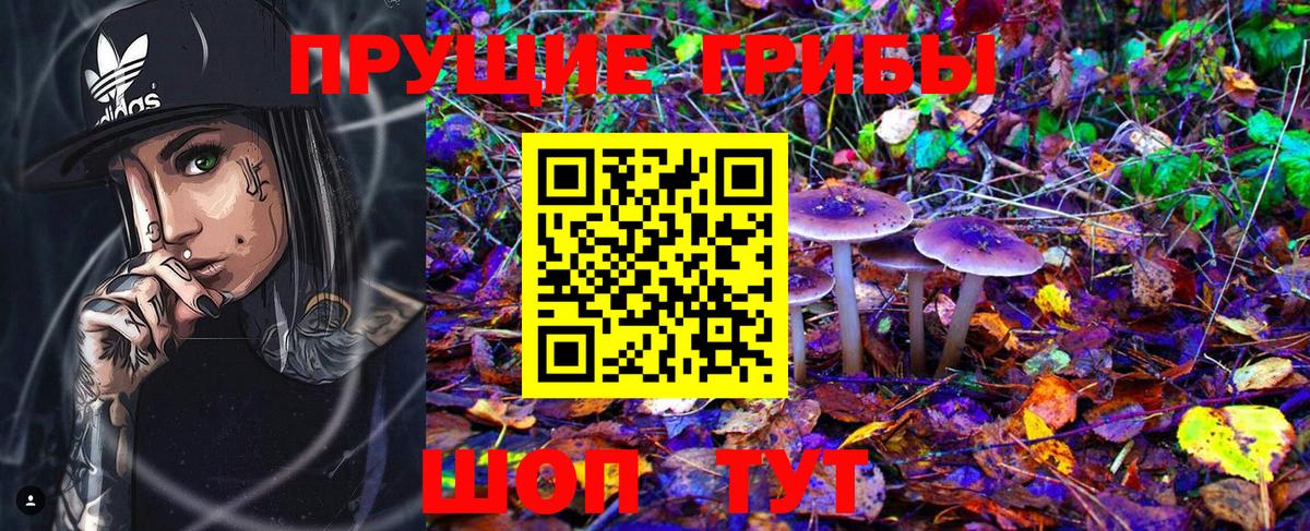Солнечногорск  купить наркотик  Вход с VPN  Галлюциногенные грибы Magic Shrooms 